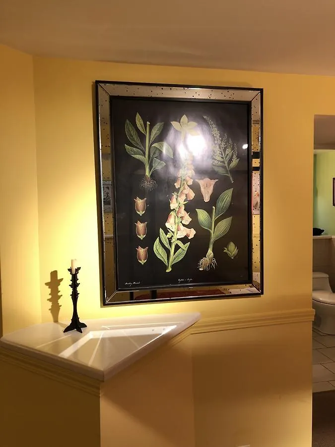 Bed & Breakfast Barclay House Bed And Breakfast Vancouver